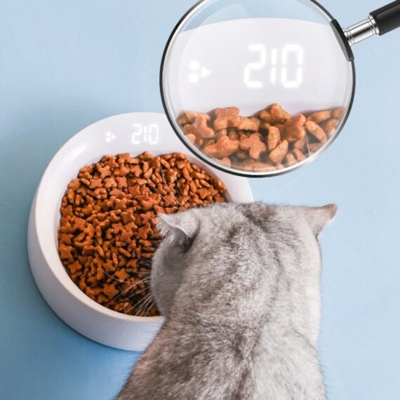 Pet Bowl Feeder Cat Bowl Pet Smart Weighing Bowl Snack Feeder Pet Supplies Single Bowl Cat And Dog Bowl