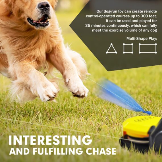 Pet Chase Toys Home Training Supplies